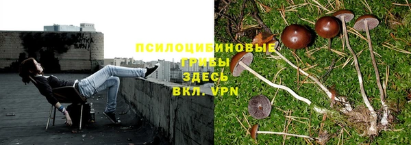 меф Заволжск