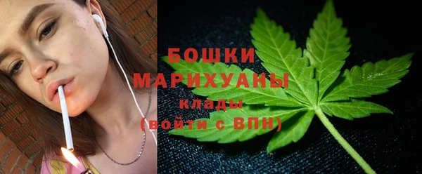 PSILOCYBIN Заволжье