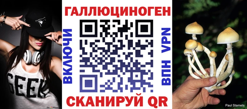 Купить Нижние Серги Псилоцибиновые грибы Cubensis
